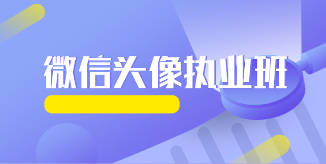 罗三三《微信头像执业班》视频10集