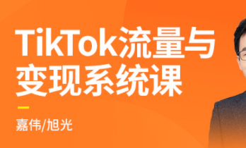 2021全新升级iTikTok流量与变现系统课【完结】