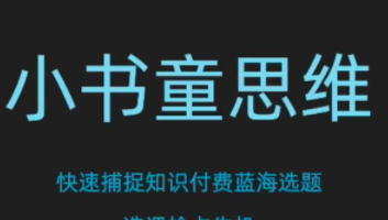 林雨小书童思维课,快速捕捉知识付费蓝海选题