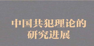 中国共犯理论的研究进展 202007 钱叶六 pdf版