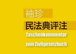 袖珍民法典评注 202202 杨代雄 pdf版