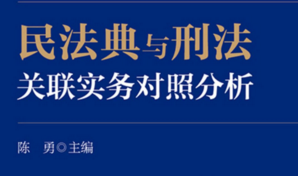 民法典与刑法关联实务对照分析 202110 陈勇 pdf版