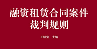 融资租赁合同案件裁判规则 202106 pdf版