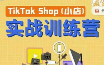 疯人院TikTok Shop小店先疯训练营【完结】