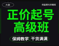 大致《保姆级正价起号详细教程》