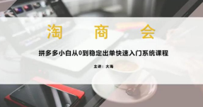 大海《拼多多从0到稳定出单系统课程》