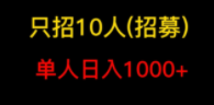 懒人领域《头条项目玩法教学》