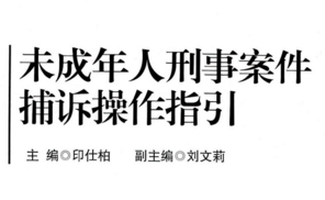 捕诉一体实务指引丛书 全套共分7册 pdf合集