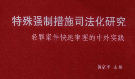 强制特殊强制措施司法化研究  轻罪案件快速审理