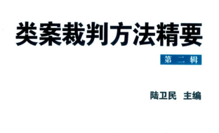 类案裁判方法精要（第二辑）202204 陆卫民 pdf版