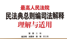 最高人民法院民法典总则编司法解释理解与适用