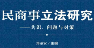 民商事立法研究：共识、问题与对策 202012 郑泰安