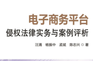 电子商务平台侵权法律实务与案例评析 202001 汪涌