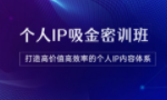 第65期-VIP会员内部密训课程-《个人IP吸金密训班