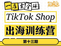 李社长《TikTok Shop出海训练营13期》