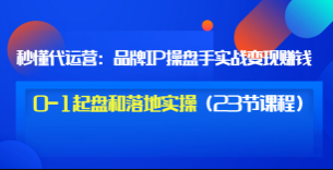 秒懂代运营：品牌IP操盘手实战变现0-1起盘和落地