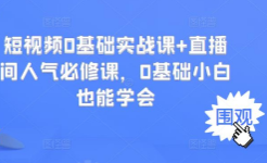 短视频 0基础实战课+直播间人气必修课