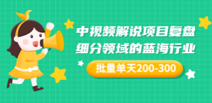 某付费文章「中视频解说项目复盘：细分领域的