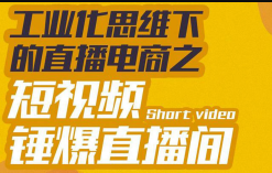 尼克派·工业化思维下的直播电商