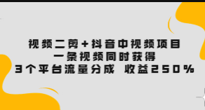 视频二剪+抖音中视频项目教程