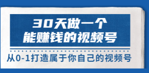 30天做一个能赚钱的视频号199