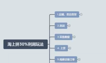 淘上拼 30%利润运营教程