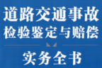 道路交通事故检验鉴定与赔偿实务全书（上中下