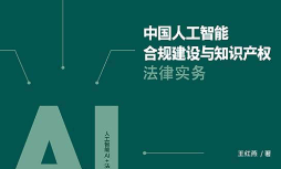 中国人工智能合规建设与知识产权法律实务 202