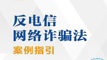 反电信网络诈骗法案例指引 中国法制出版社 pd