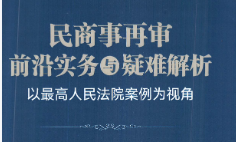 民商事再审前沿实务与疑难解析 丁义平 2023 pdf版