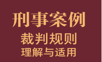 刑事案例裁判规则理解与适用 2023 pdf版下载