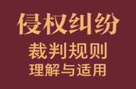 侵权纠纷裁判规则理解与适用 2023 pdf版下载