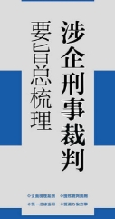 涉企刑事裁判要旨总梳理 程晓璐 2022 pdf版下载