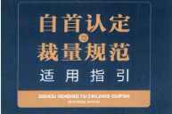 自首认定与裁量规范适用指引蓝向东2022 pdf版下载