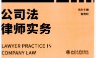 公司法律师实务 律师阶梯 郭春宏2022 pdf版下载
