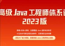 高级Java工程师体系课2.0(完结)2023【网盘资源】