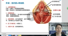 颜健伟医生金手指私密内雕两小时视频 6.43G【网