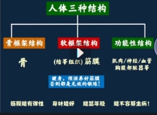 徐全华一生康手法+筋膜激活抖动【网盘资源】