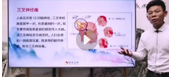 高义古法针灸疼痛高级班38班【79集】【网盘资源