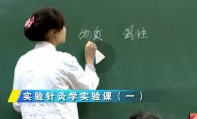 实验针灸学实验课：郭义-天津中医药大学（全