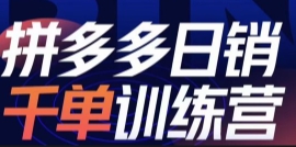 白凤拼多多日销千单训练营2023完整版【网盘资源