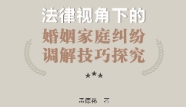 法律视角下的婚姻家庭纠纷调解技巧探究 201703