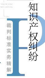 知识产权纠纷裁判标准实务精解 202311 朱玮洁 p