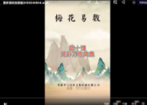 民间梅花易数梅花探幽42集【网盘资源】
