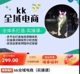 KK全域电商实操课【网盘资源】