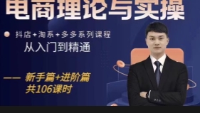 电商理论与实操从入门到精通 新手篇+进阶篇【网