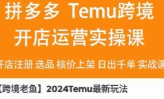 【跨境老鱼】2024Temu最新玩法【网盘资源】