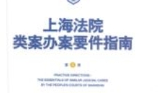 上海法院类案办案要件指南（第8册）202402 王光贤