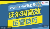 Walmart运营必备：沃尔玛高效运营技巧【网盘资源