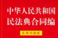 中华人民共和国民法典合同编：实用问题版 202